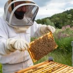 L’impact de l’apithérapie sur la vitalité mentale : focus sur les effets du pollen et de la gelée royale